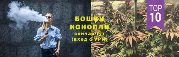 СК Чекалин