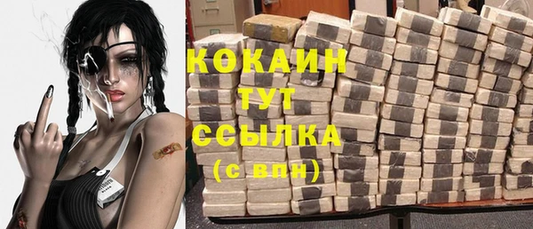 соль курить ск Гатчина