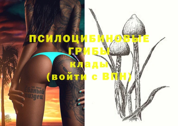 Альфа ПВП Покачи
