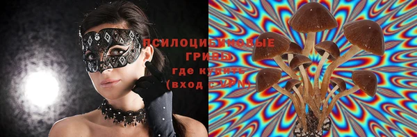 СК Чекалин