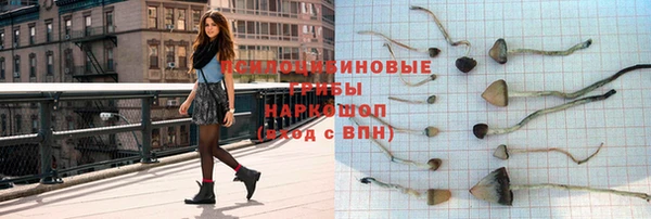 СК Чекалин