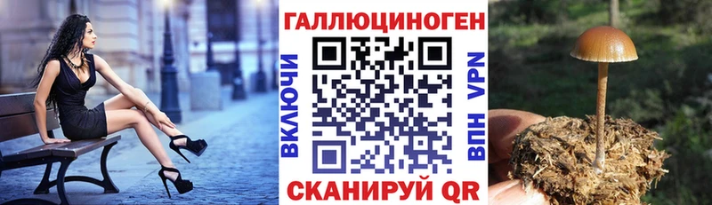 Галлюциногенные грибы GOLDEN TEACHER  Агрыз 